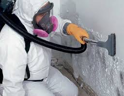 Best Attic Mold Removal  in Bethany, OR